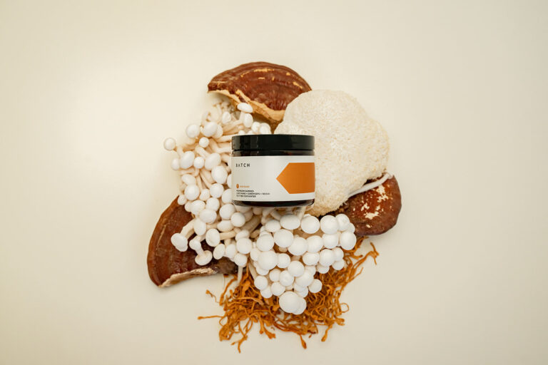 Mushroom Supplements