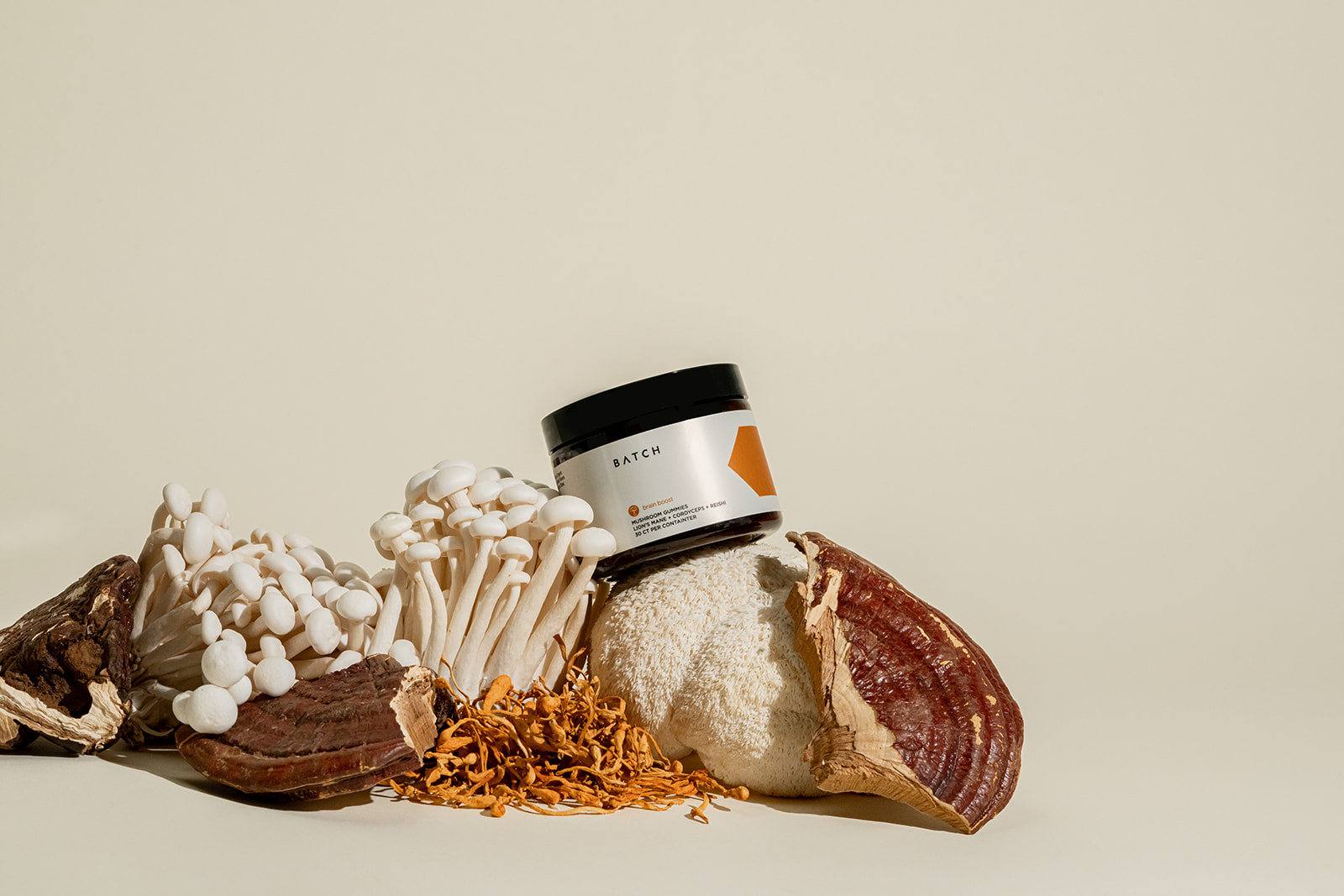 Lion's Mane Mushroom for sale