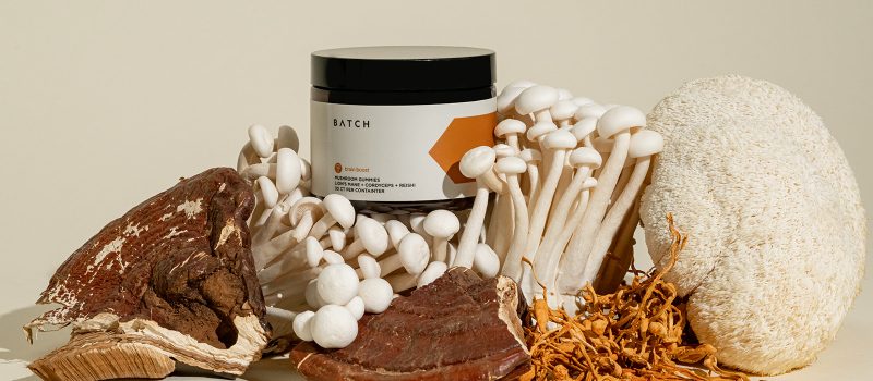 mushroom mushroom